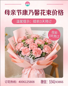 大连高新园区花店母亲节康乃馨花束