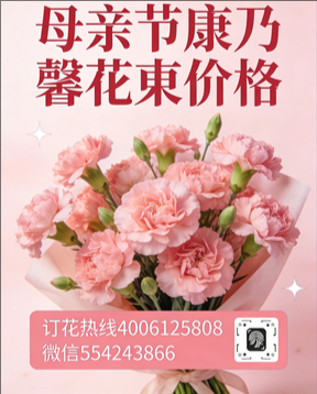 大连高新园区花店母亲节康乃馨花束